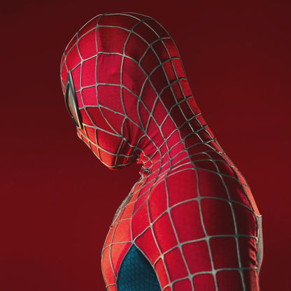 Hand-Crafted Spidey Suit